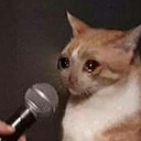CE_SadCatMic emote for Discord