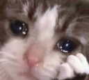 CE_CloseUpCrine emote for Discord