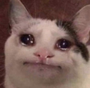 CE_SAD emote for Discord