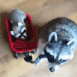 CE_VroomVroomRaccoon emote for Discord