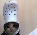 CE_sadcat5 emote for Discord