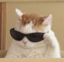 CE_koolcatto2 emote for Discord