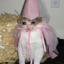 CE_SadFairy emote for Discord