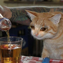 CE_SadDrinking emote for Discord