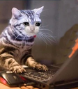 CE_sadcat5 emote for Discord