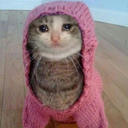 CE_sadcat3 emote for Discord