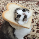 CE_SadCat2 emote for Discord