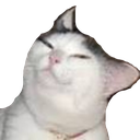 CE_Slumped emote for Discord