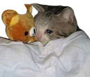 CE_Sleepcat2 emote for Discord