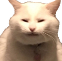 CE_Squint emote for Discord