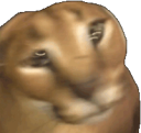 shakingfloppa emote for Discord