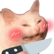 catblushknife emote for Discord