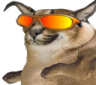 wickedfloppa emote for Discord