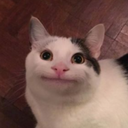 smilecat emote for Discord