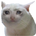 sadcat emote for Discord