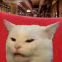 unpleasedcat emote for Discord
