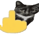catcuss emote for Discord