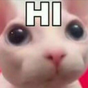 bingushi emote for Discord