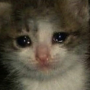 smolcat emote for Discord
