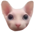 bingushead emote for Discord