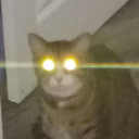 catrage2 emote for Discord