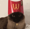 catmcfries emote for Discord