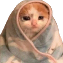 catinblanket emote for Discord