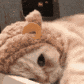 catbear emote for Discord