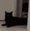 catdeposit emote for Discord