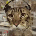 floppavibe emote for Discord