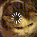 thinkingcat emote for Discord