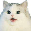 suprised emote for Discord