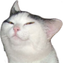 smolcat emote for Discord