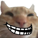 trollcat emote for Discord