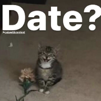 date static emote