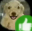 approved emote for Discord