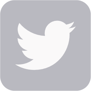 twittergrey emote for Discord