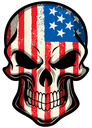 america emote for Discord