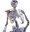 chill emote for Discord