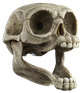 nawwwwwwwww emote for Discord