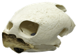 nftowner emote for Discord