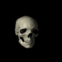 skullspin emote for Discord