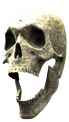 skullpog emote for Discord