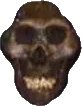 skullblack emote for Discord