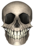Skal emote for Discord