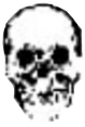 skulle emote for Discord