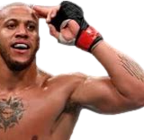 salute emote for Discord