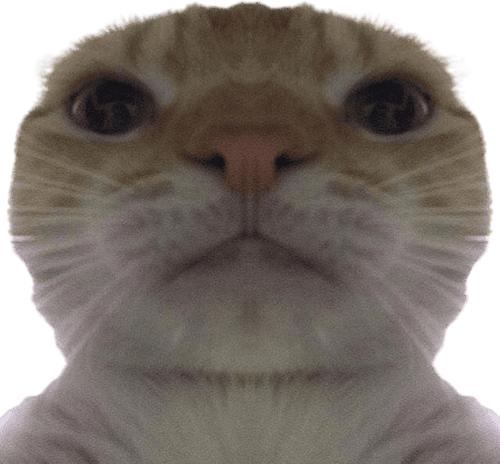 Swag_Cat emote for Discord