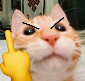 cat_middle_finger emote for Discord