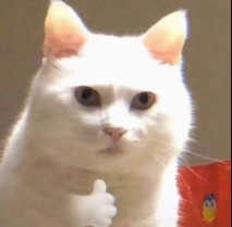 Cat_thumbs_up emote for Discord